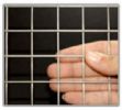 Welded Wire Mesh 